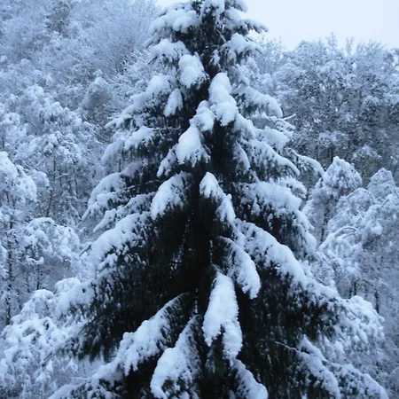Appartementhaus Architekt Wierer Apartmán Bad Hofgastein