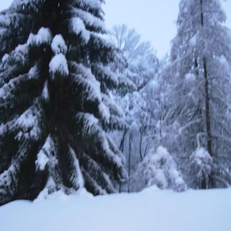 Appartementhaus Architekt Wierer *