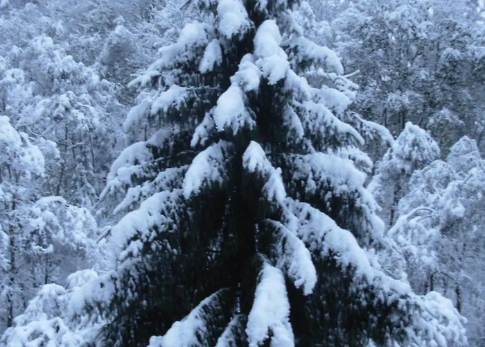 Appartementhaus Architekt Wierer Apartmán Bad Hofgastein